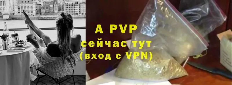 A PVP VHQ  Гатчина 